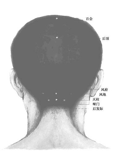 人体头部穴位图(背面) 人体头部穴位图(背面(miàn))