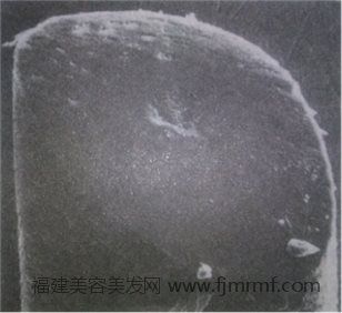 &#20061;&#28216;&#28216;&#25103;&#23448;&#32593;&#45;&#20061;&#28216;&#65288;&#20013;&#22269;&#65289;