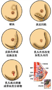 &#20061;&#28216;&#28216;&#25103;&#23448;&#32593;&#45;&#20061;&#28216;&#65288;&#20013;&#22269;&#65289;