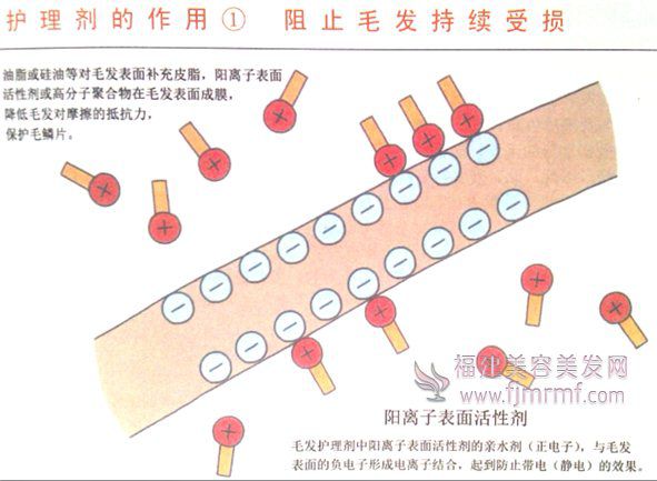 护理剂的作用-阻止毛(máo)发持续受损 护理剂的作用-阻止毛发持续受损